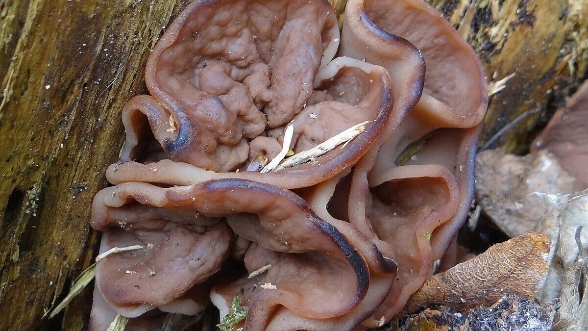     Источник: freepik.com