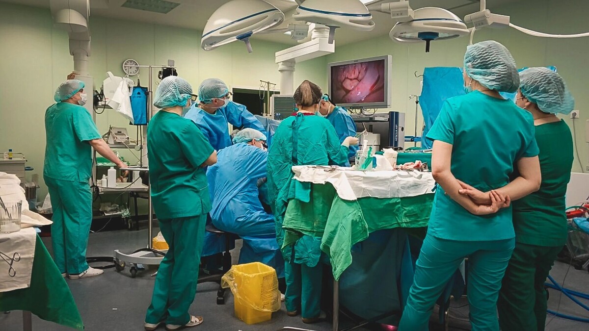     Источник: 1MI