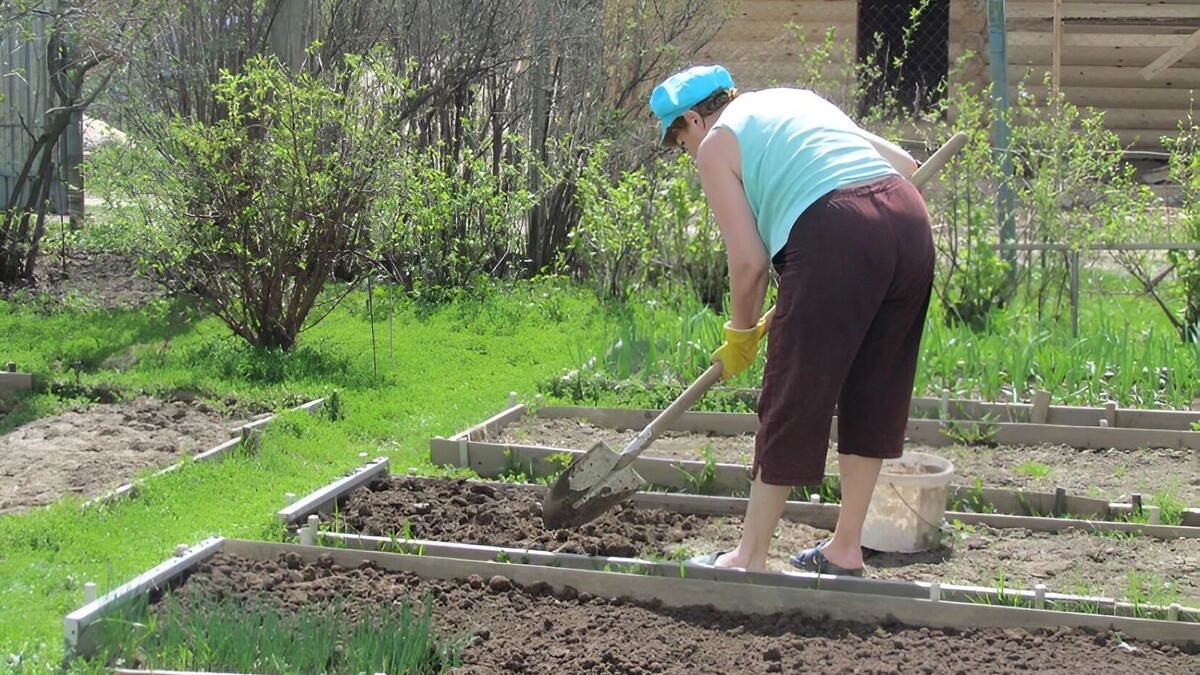     Источник: freepik.com