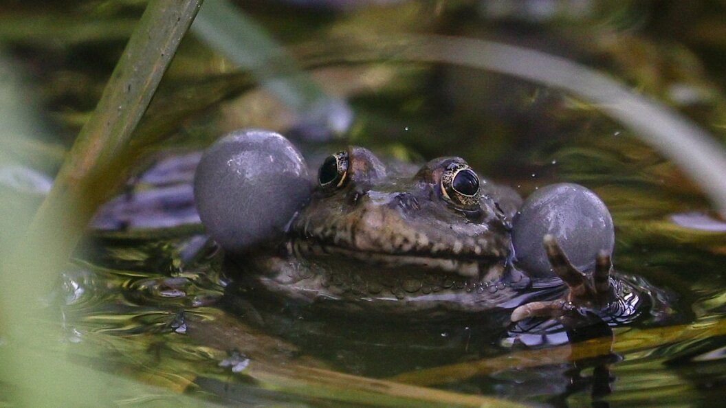    Фото: Victor Lisitsyn, Виктор Лисицын/Global Look Press