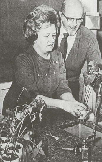 Дороти Ретеллек.