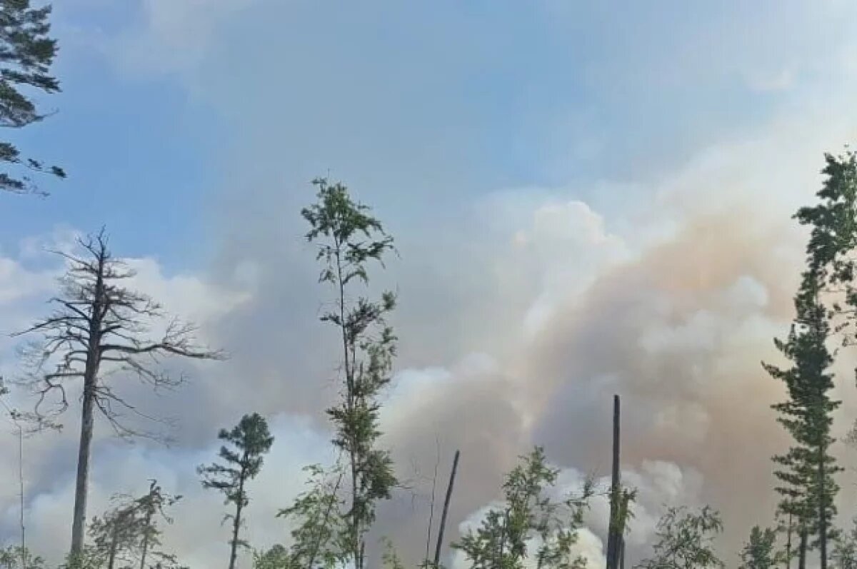    Виновника пожара под Читой посадили под домашний арест