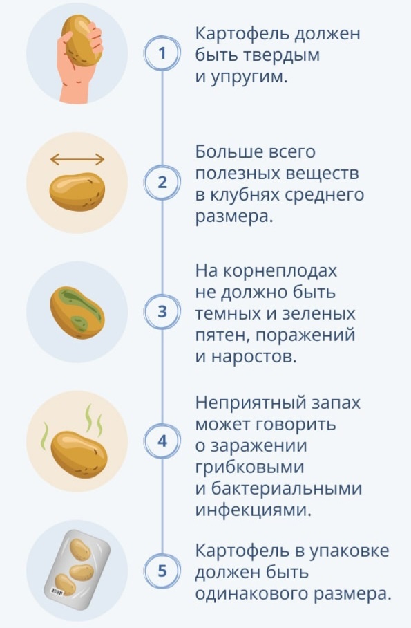 Фото с сайта https://www.kp.ru/guide/sorta-kartofelja.html