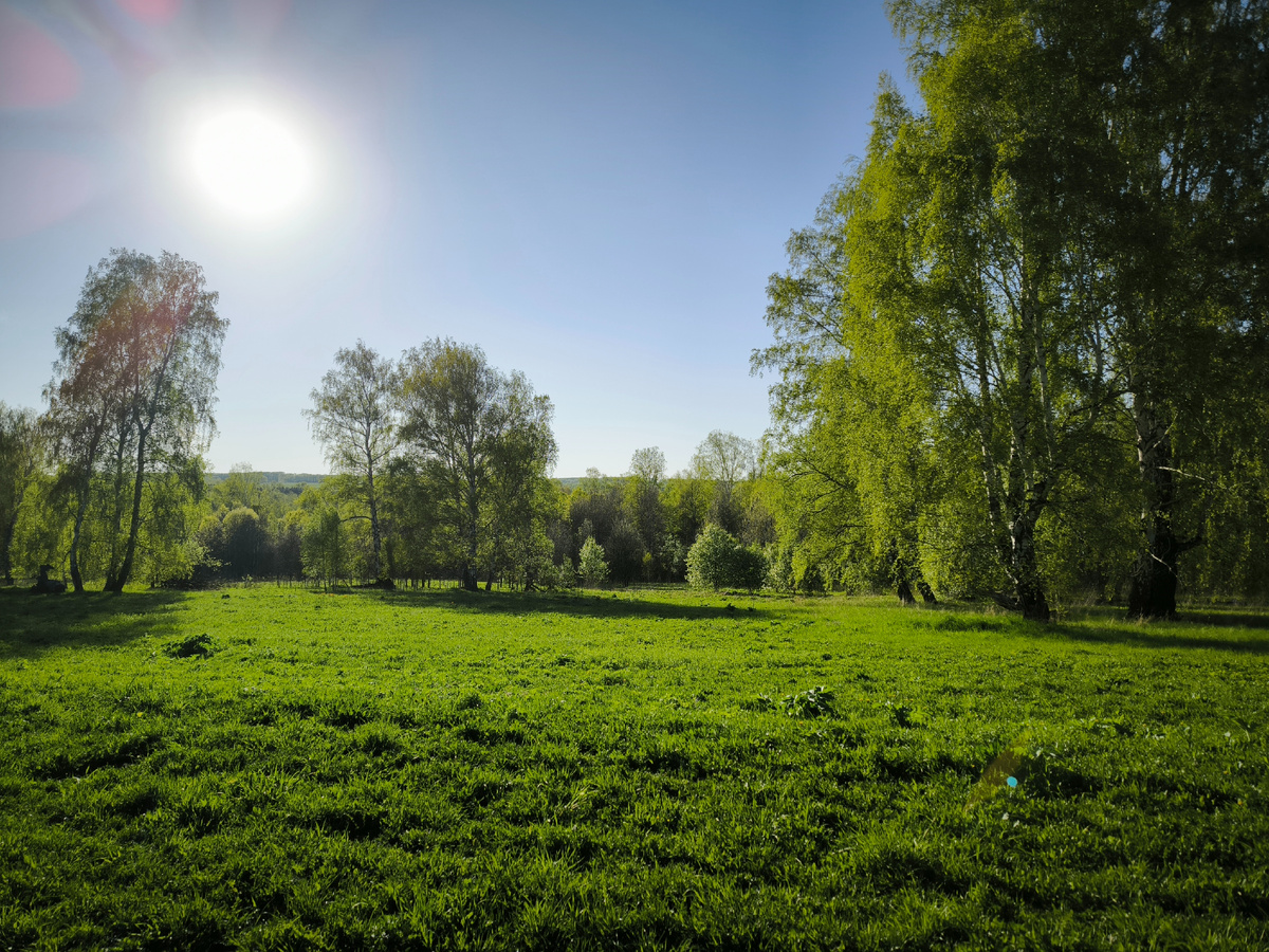 Солнечная полянка