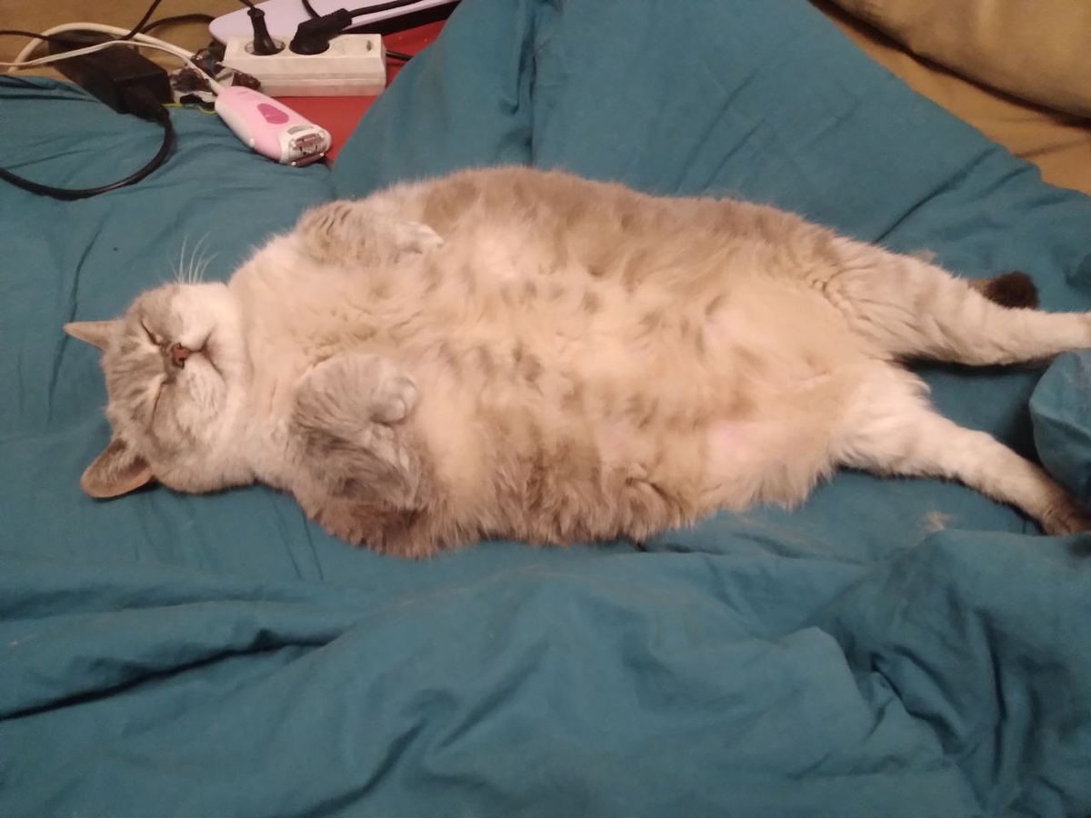 Крепкий сон после расследования помогает набраться сил для новых дел