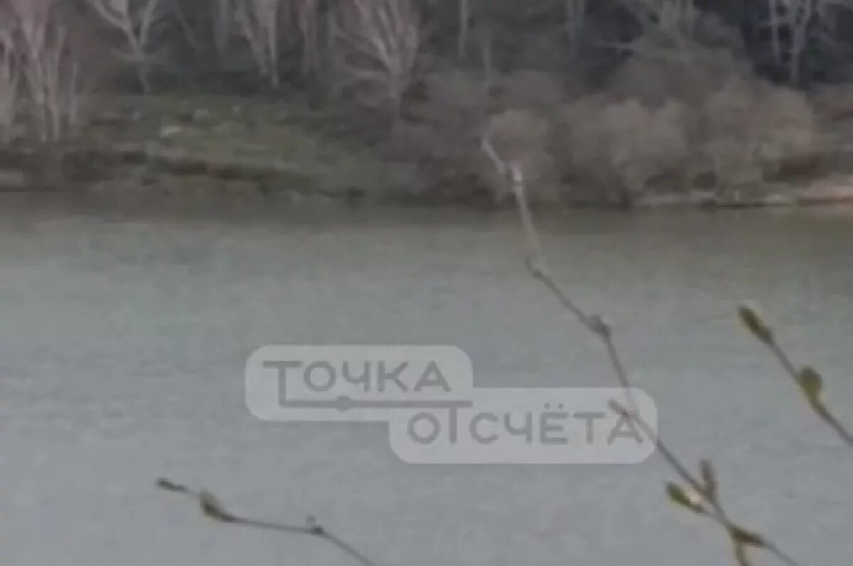    Медведя заметили у «Чёртова моста» на Сахалине