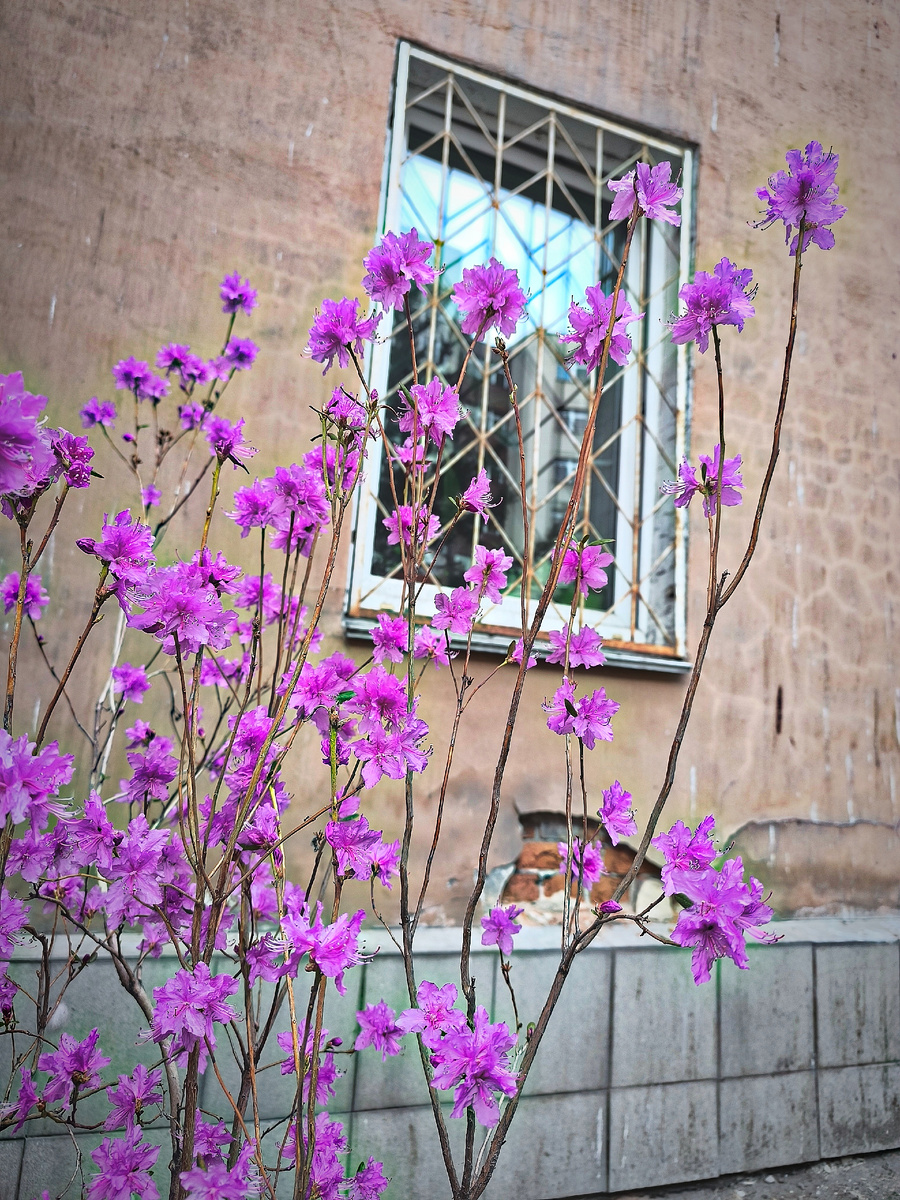 (© Анна, «Маяк энерджайзера»)