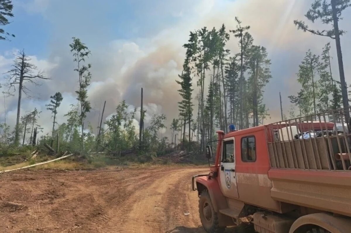    В Бурятии лесные пожары охватили площадь в 58 799 гектаров
