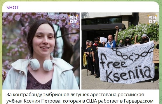    Скриншот: телеграм-канал Shot