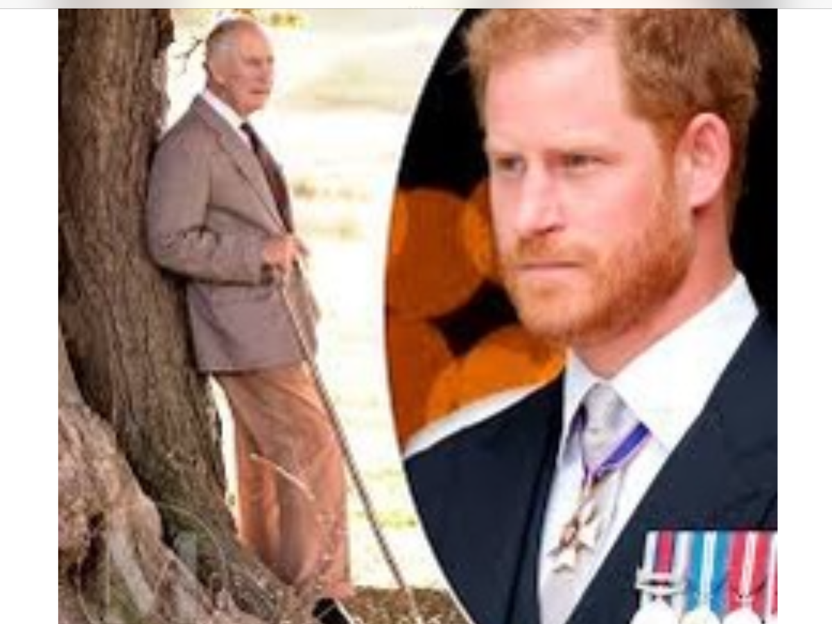 Фото с сайта: mainstyles.ru