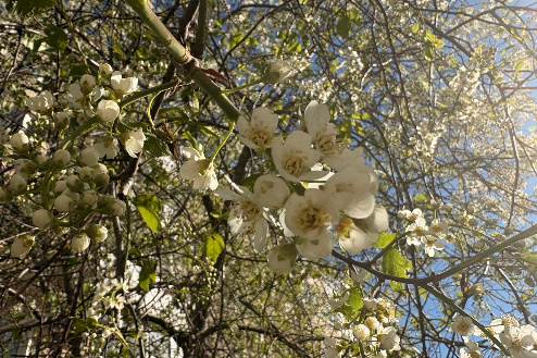    Фото: Прецедент