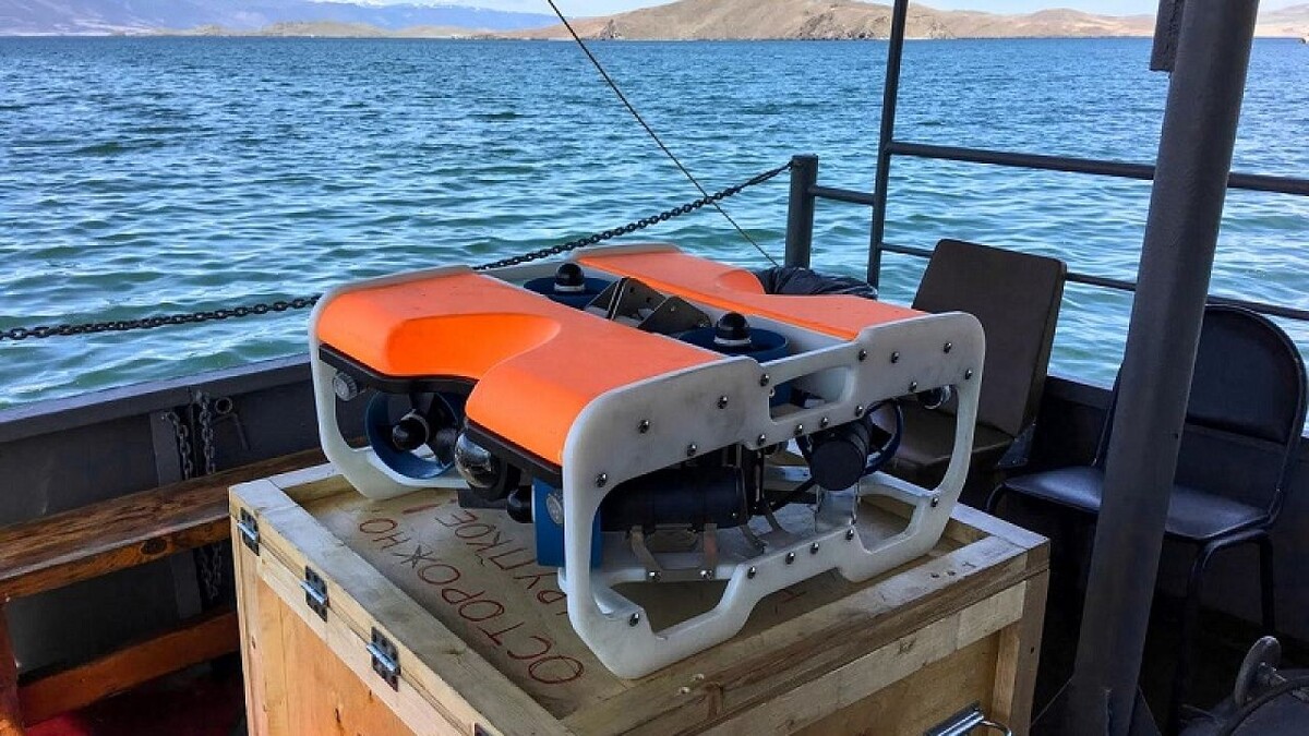    Фото: администрация ФТ Сириус