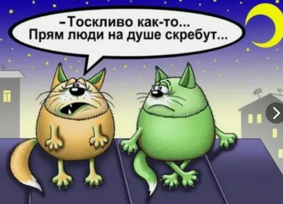 где-то в параллельной вселенной... картинка из интернета.