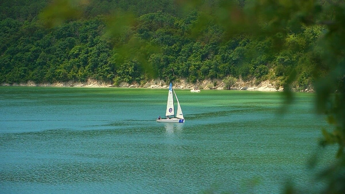    Фото: телеканал «Краснодар»