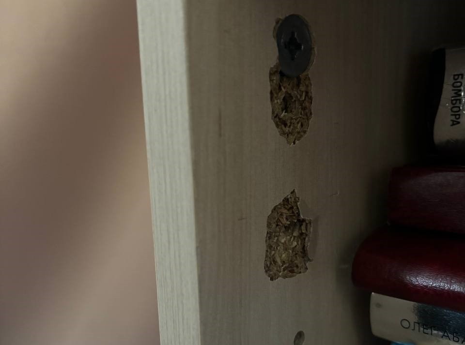 Так выглядит ЛДСП низкой плотности. Петли "вырвались" спустя 3 месяца. 