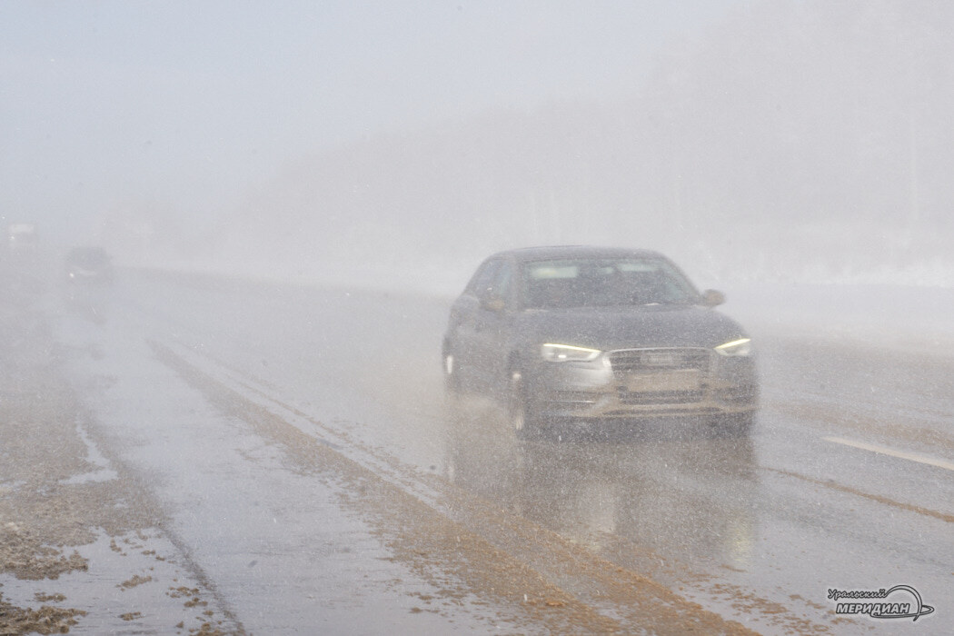    Фото Лидия Аникина © ИА «Уральский меридиан»