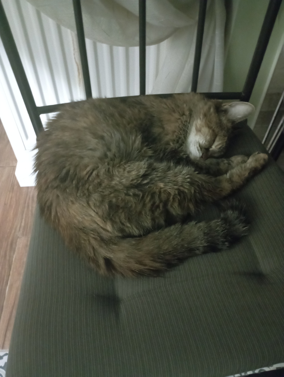 Уму непостижимо! 19 лет мы живём вместе))) 