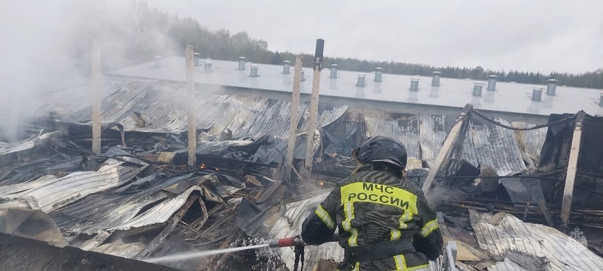 Фото: пресс-служба ГУ МЧС России по Свердловской области  📷
