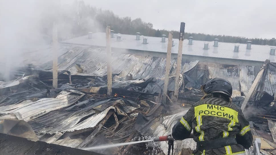 Фото: МЧС Свердловской области