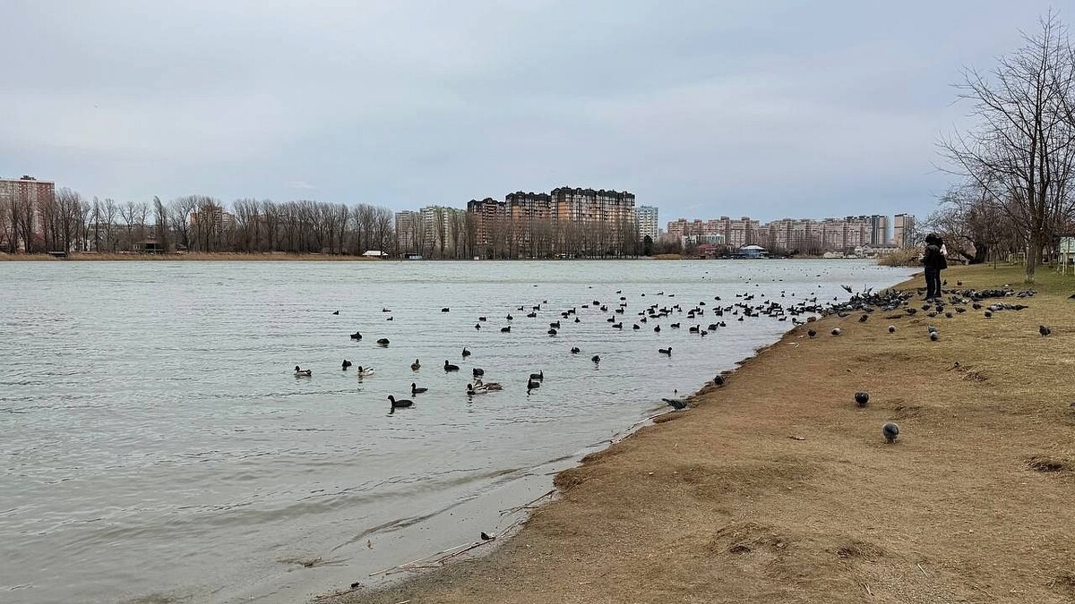    Фото: телеканал «Краснодар»