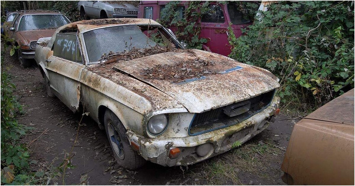 Брошеннвй мустанг - проиграл по всем фронтам троллейбусам и трамваям