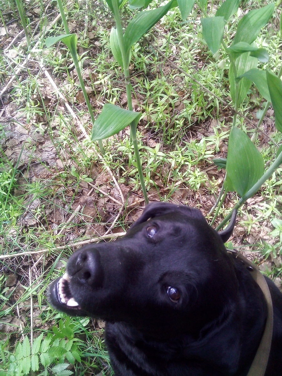 Фото автора.