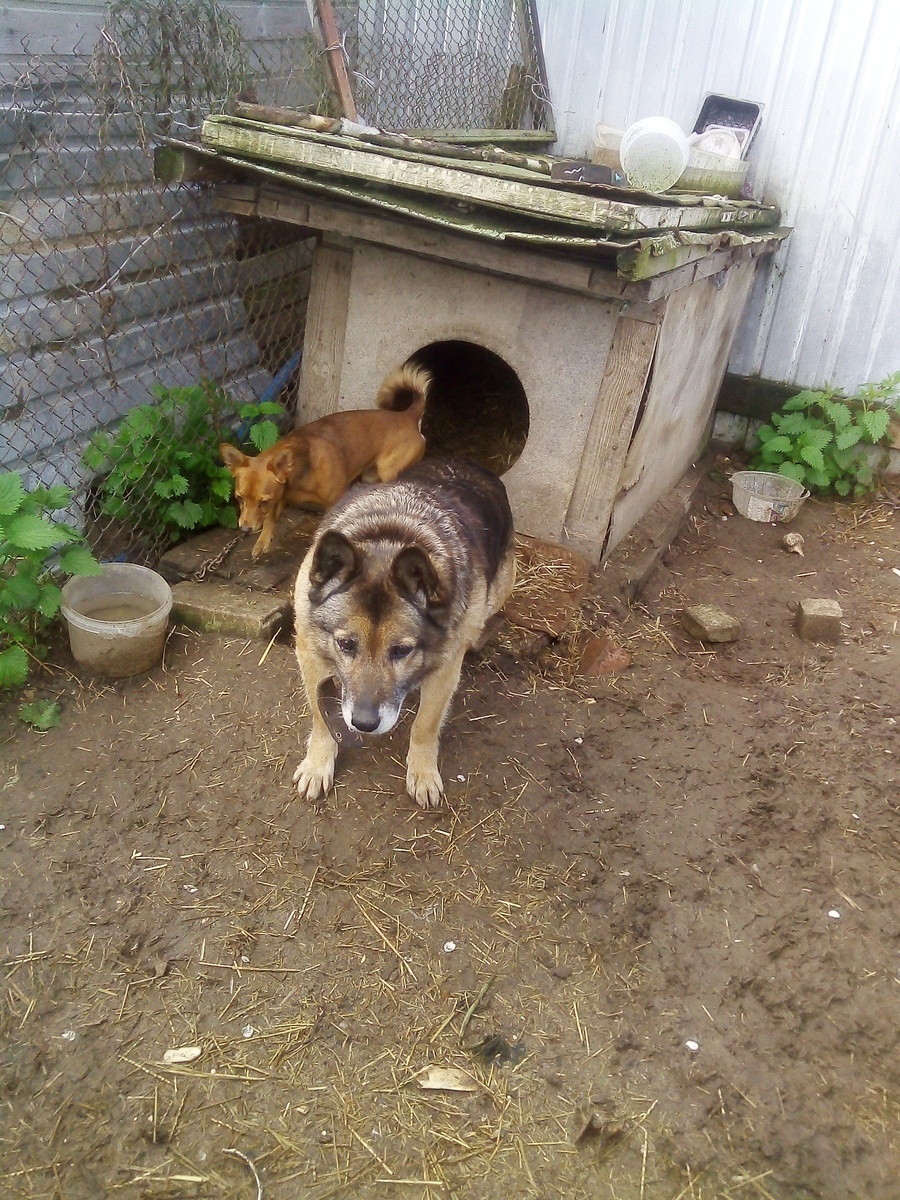 Фото автора.