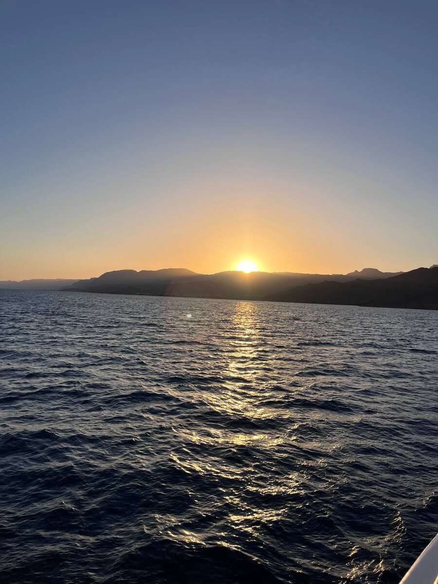 «Планета Лета»