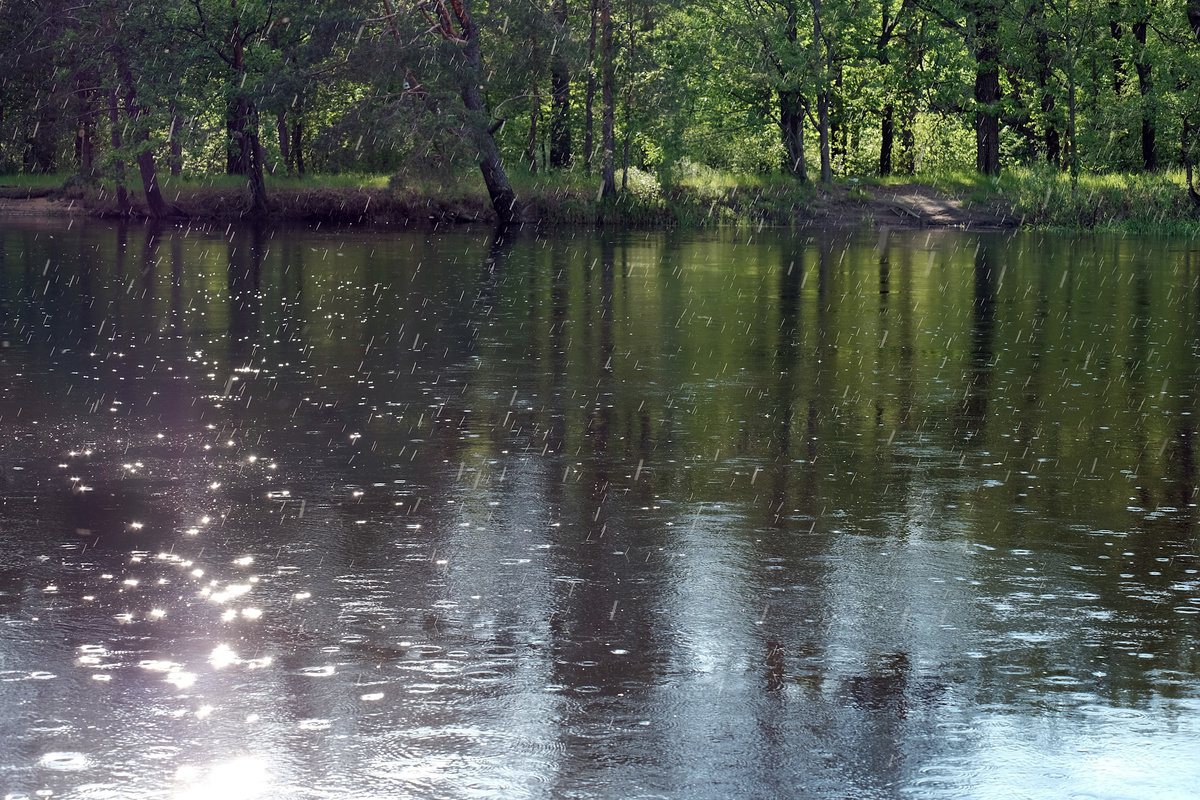 она не приходила к нему в больницу 