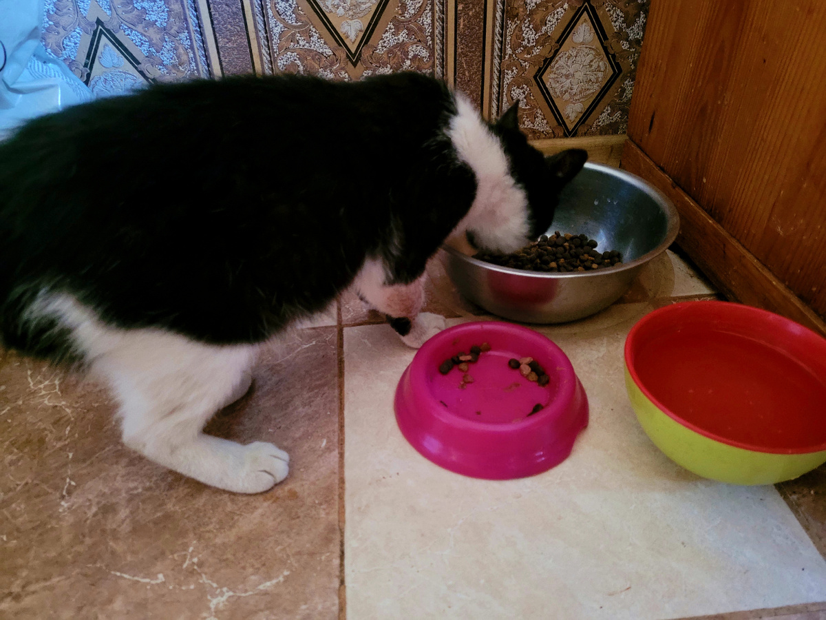 Тима так изголодался, что никак не может наесться...