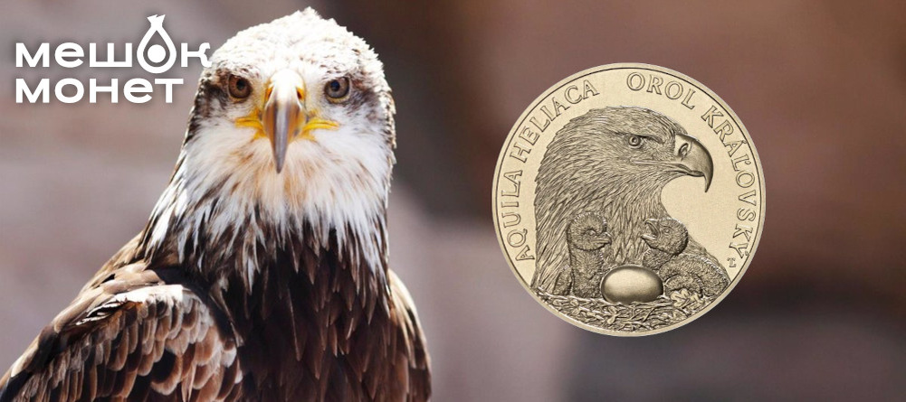    Обложка статьи