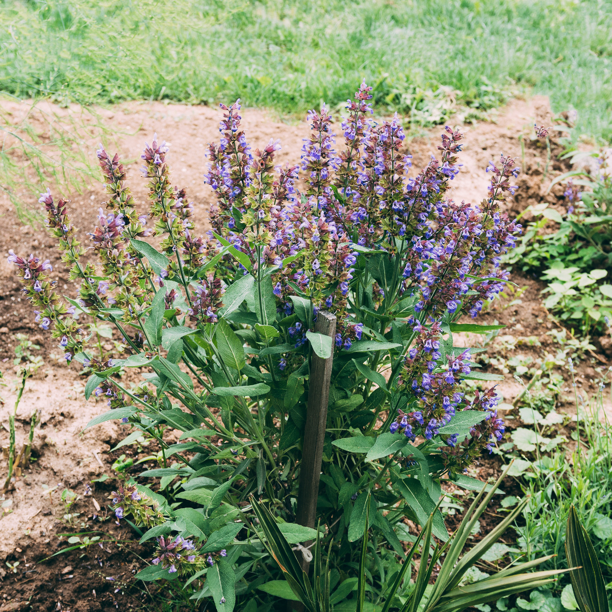 Фото ru.freepik.com
