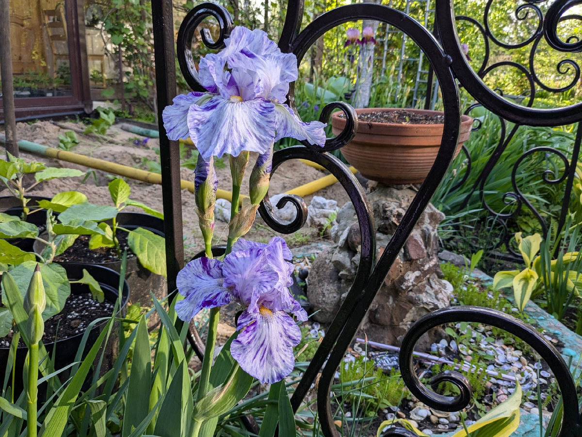 Арка-антураж и поверженная опора