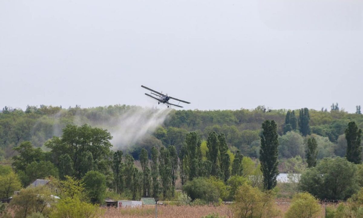    Фото t.me/ust_labinsk_adm