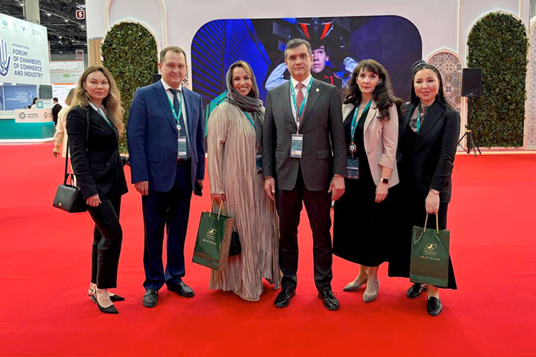    По словам Марселя Миннуллина, самые востребованные профили у медицинских туристов: проведение чекапов, трансплантация, стоматология, онкология, хирургия, акушерство и гинекология, а также урология.   
Фото: minzdrav.tatarstan.ru