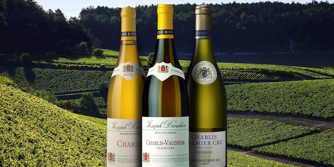 Вина региона Шабли: Особенности, классификация и причины высокой стоимости.