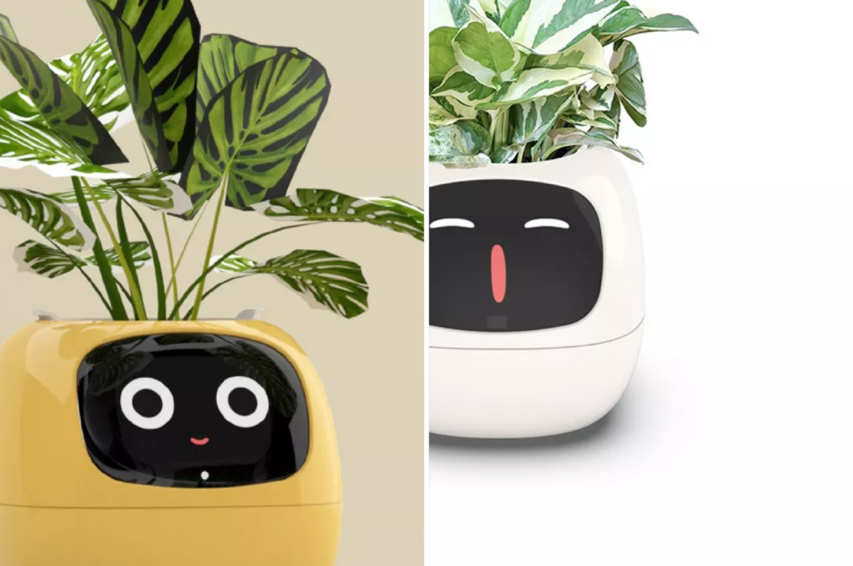 Можно найти по запросу «Умный горшок для цветов». Самые популярные модели — от 7000 рублей