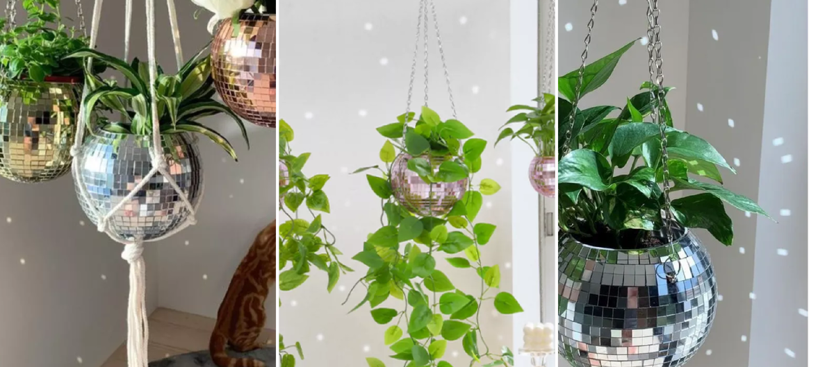 Можно найти по запросу «Горшок диско-шар». По стоимости от 600 до 3500 рублей