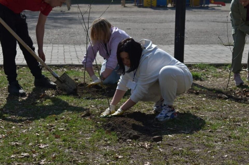    Акция "Росток памяти" в прошлые годы. Источник: Предоставлено "Толку"