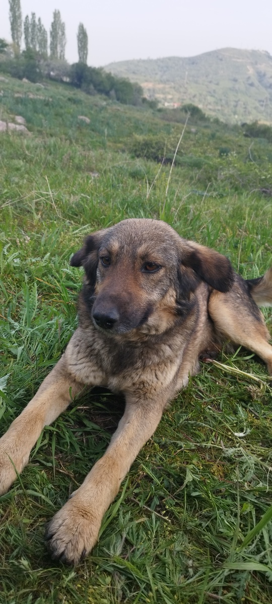 Здратути. Есть чем позавтракать? 