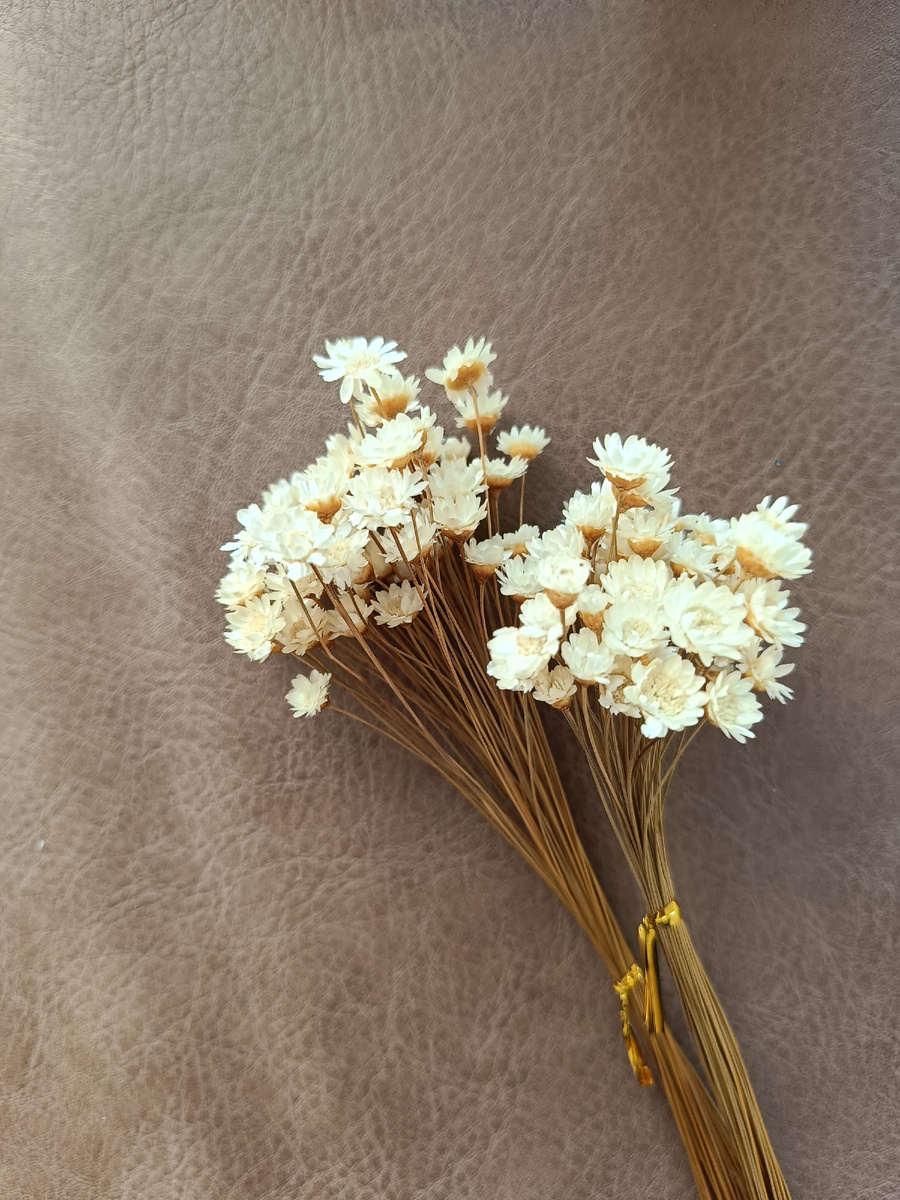 Миниатюрные цветочки. 