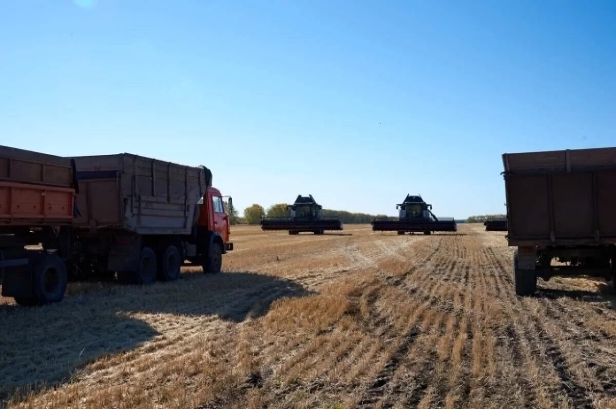    В четырех районах Коми начались весенне-полевые работы