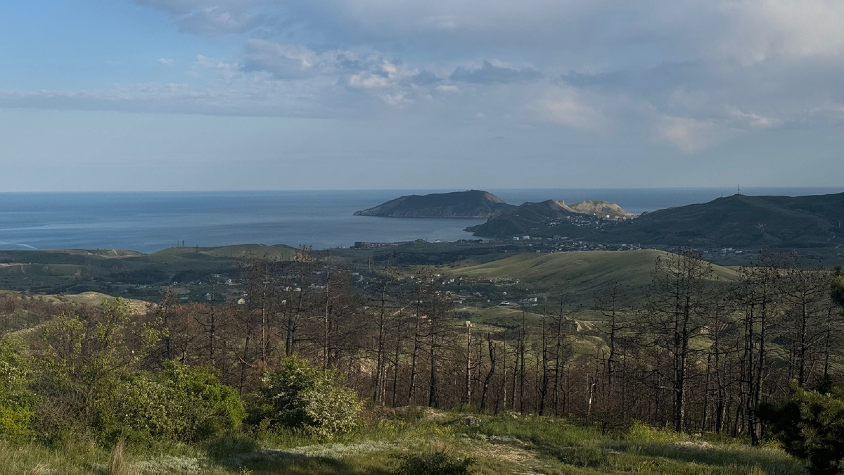 Жаль камера не передает всю красоту