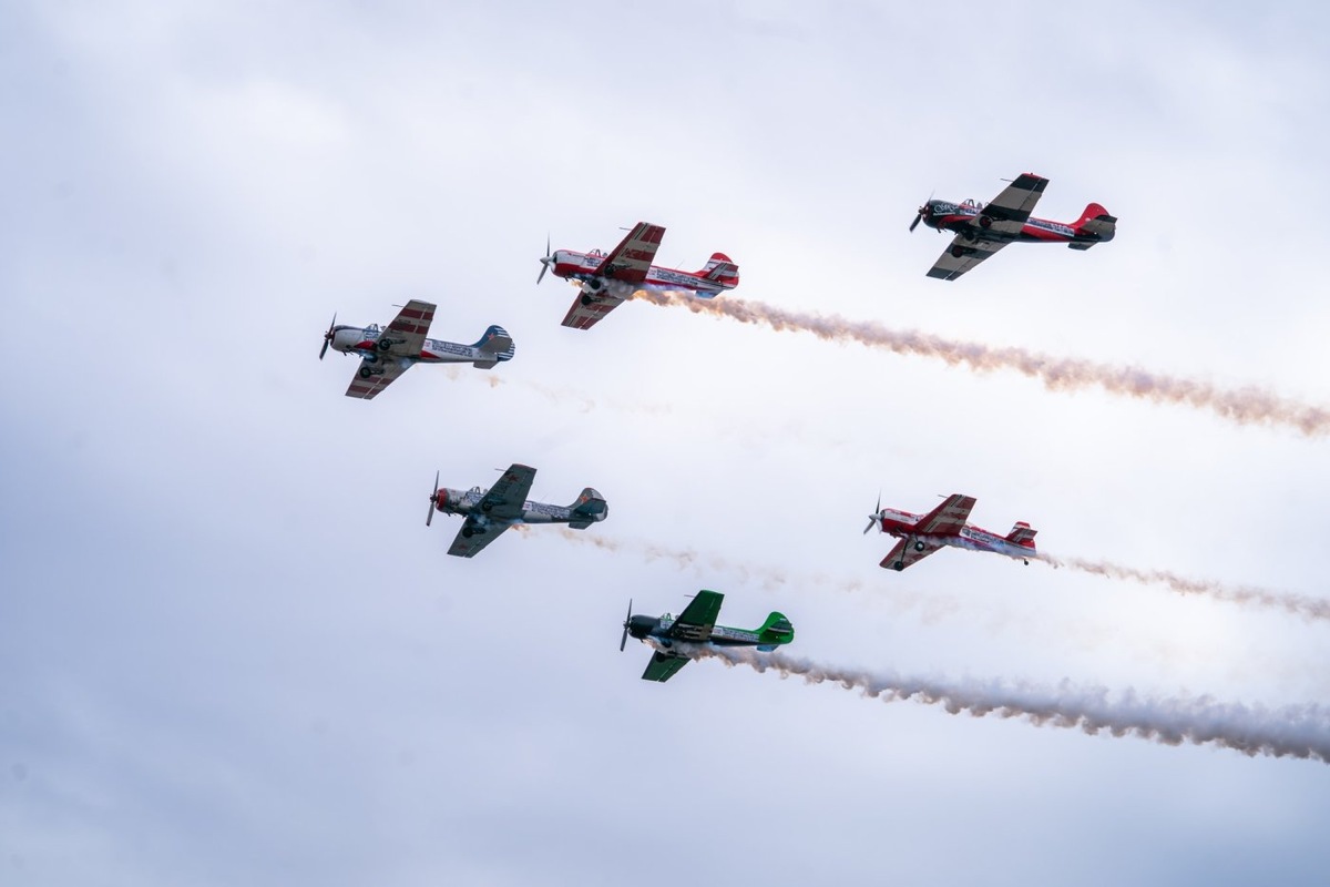    Барсы в небе Югры