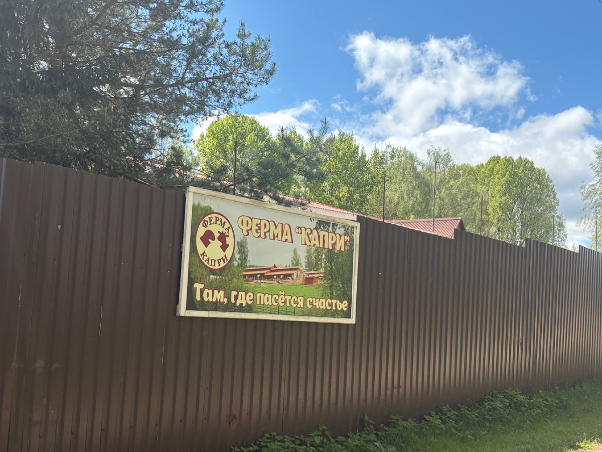 Фото из личного архива