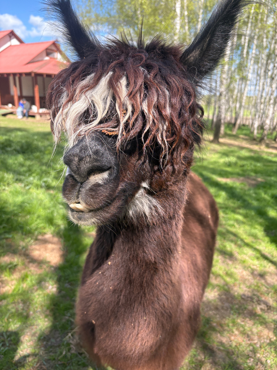 Фото из личного архива 