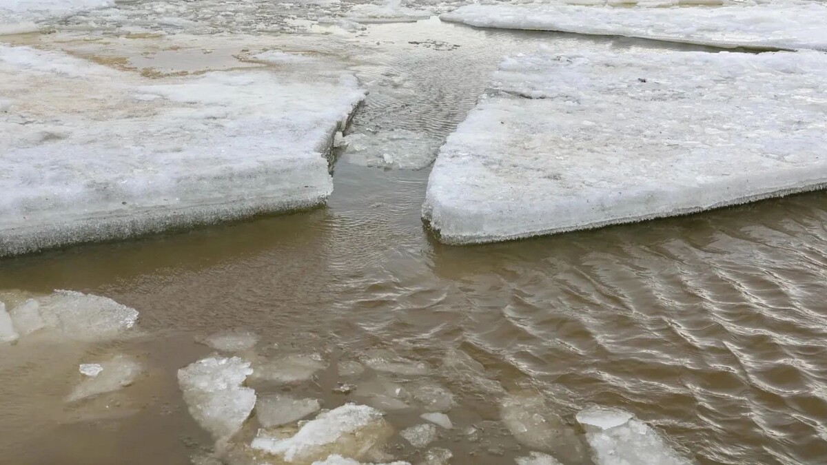    Фото: Андрей Ткачёв / «Ямал-Медиа»