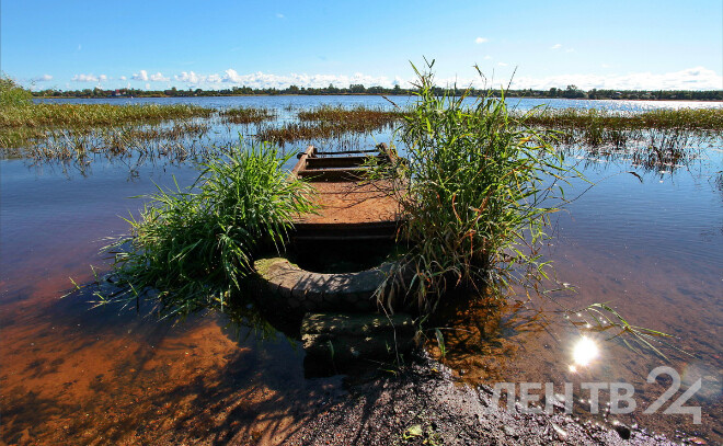    © Анастасия Илюшина для ЛенТВ24
