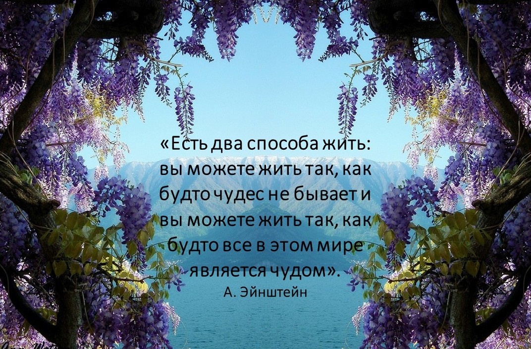 Чудес не бывает или всё в мире является чудом...