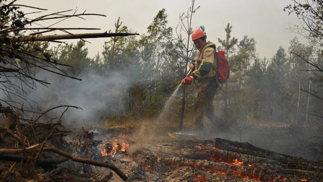    Komsomolskaya Pravda/Globallookpress